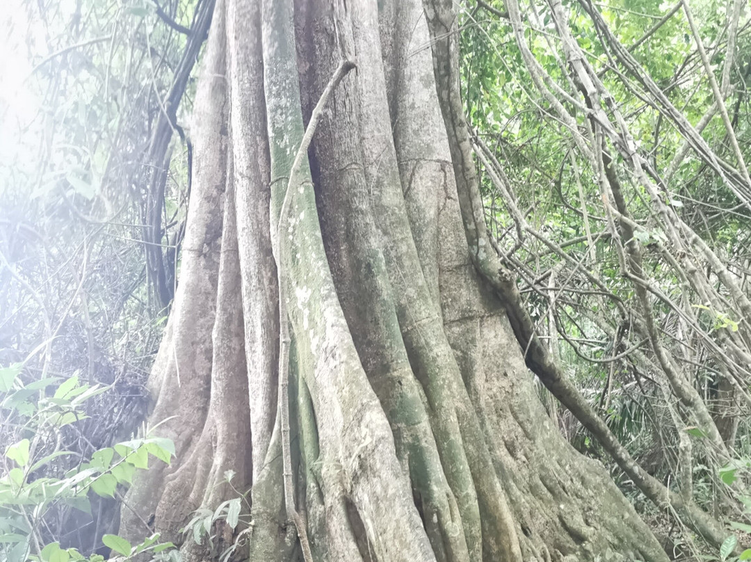 Ecoculturecr-旧港必去景点