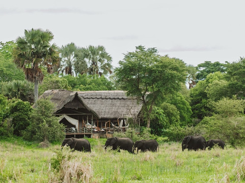 Tanzanite Trekking And Safaris-莫西必去景点