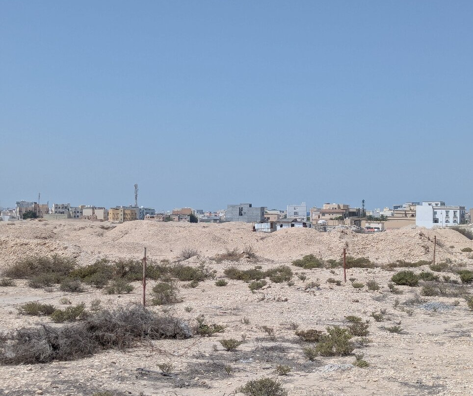 Dilmun Burial Mounds-麦纳麦必去景点