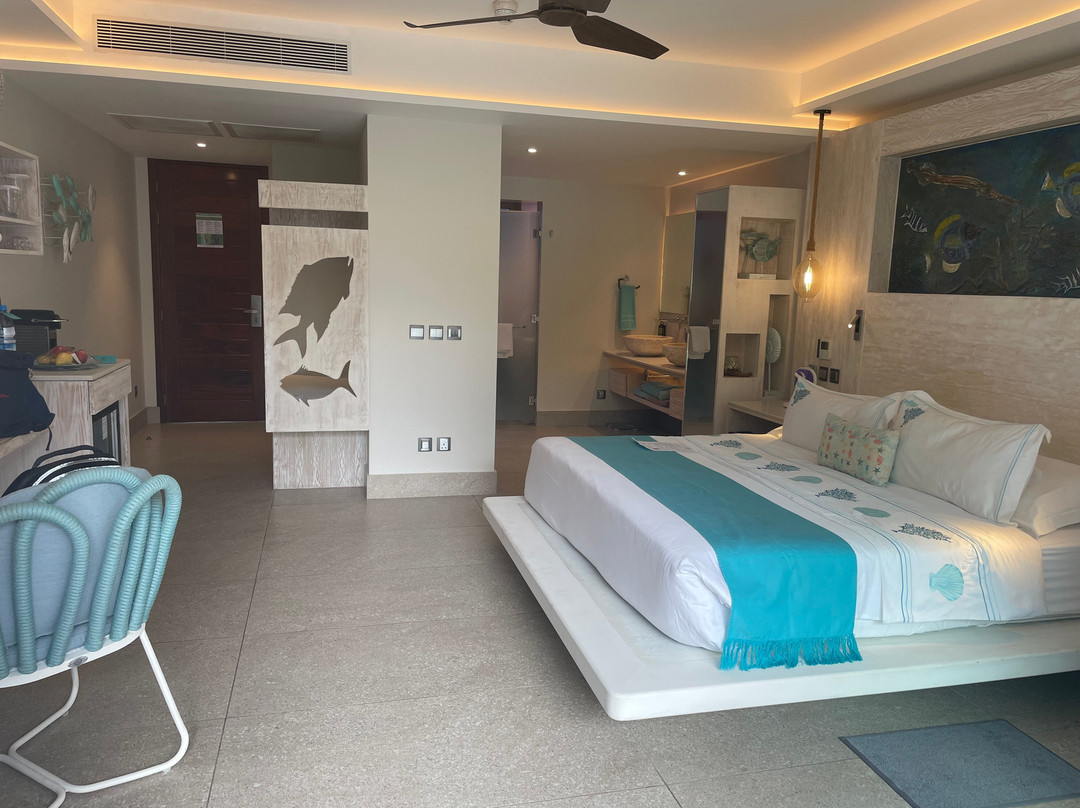 黎德迪普拉兰酒店主图