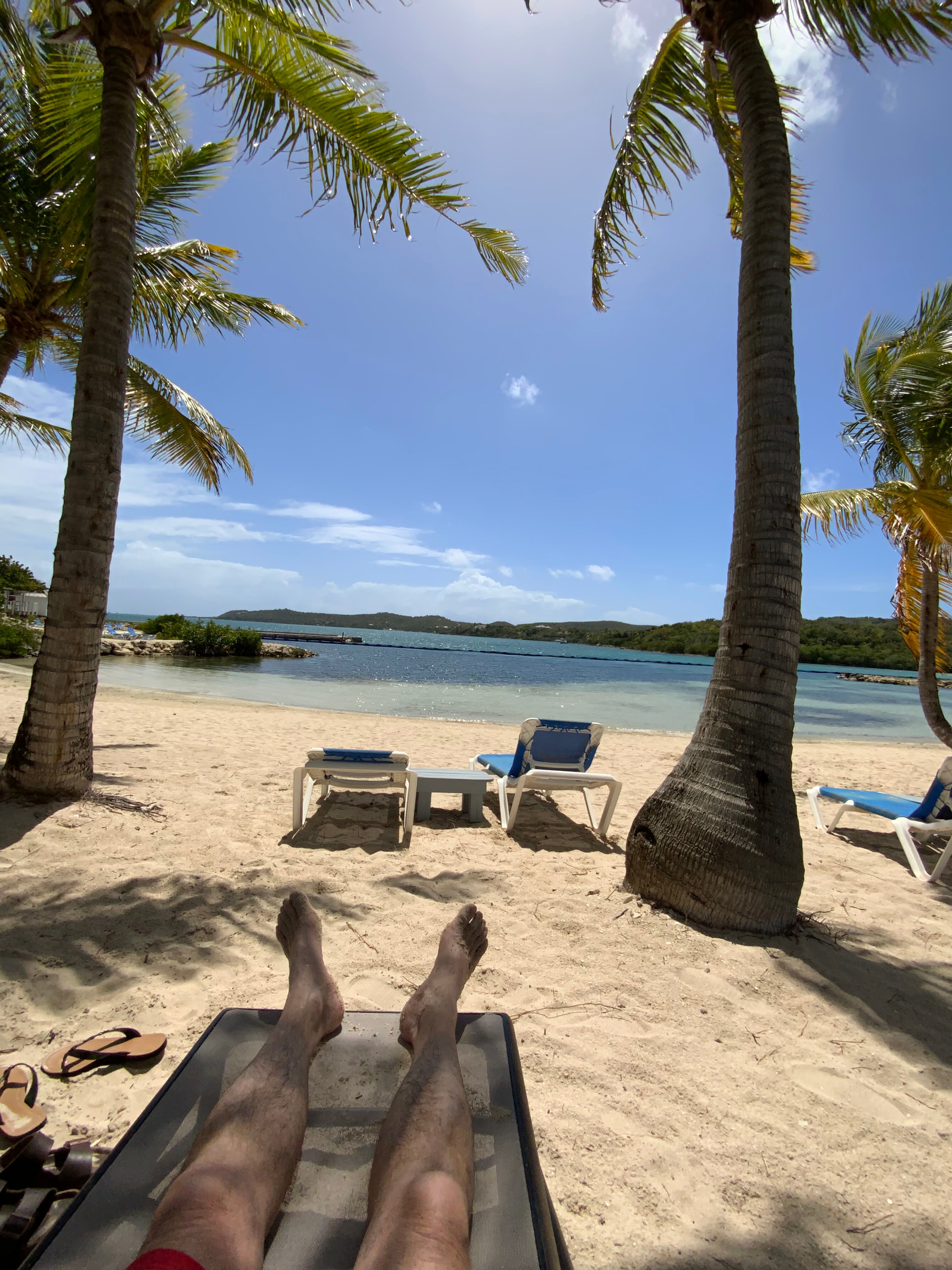 The Escape at Nonsuch Bay Antigua-泳池