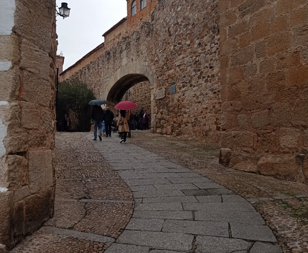 Arco de la Estrella (Star Arch)景点图片