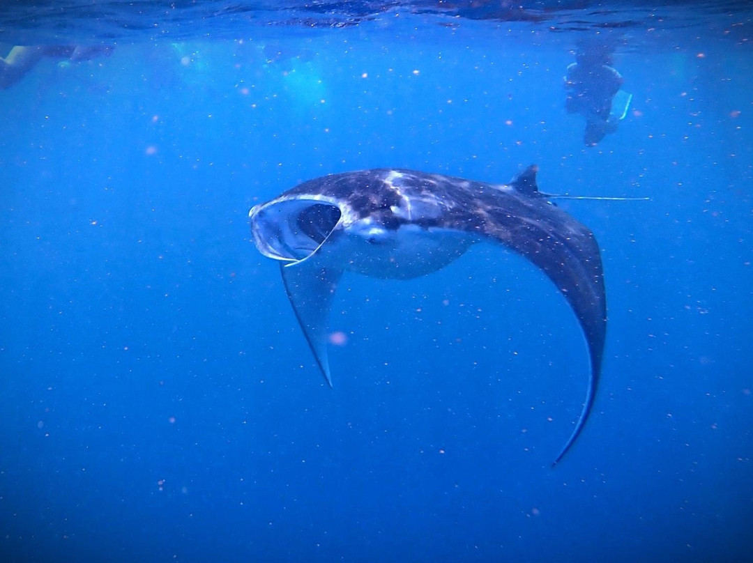 Euro-Divers Eri Maldives-马累北环礁必去景点
