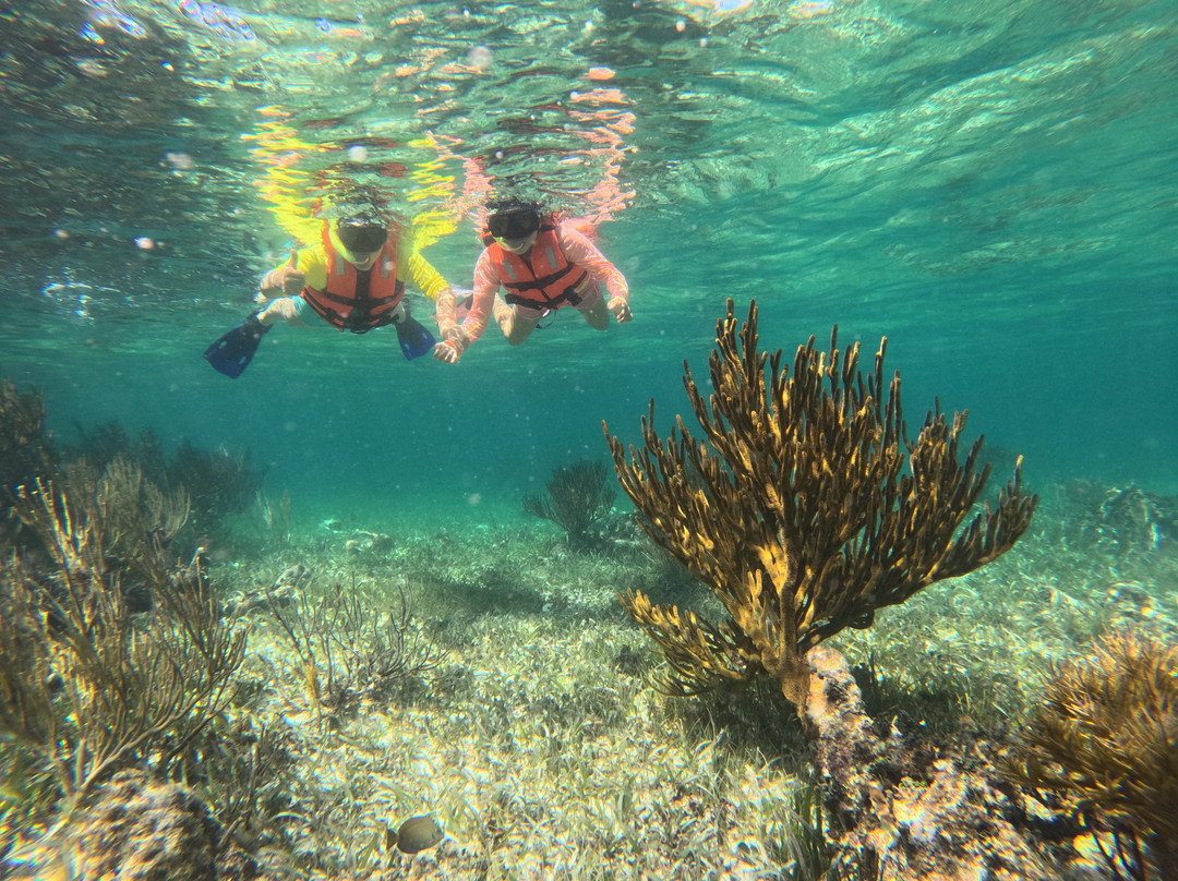 Puerto Morelos Voyage-从莫雷洛斯港必去景点