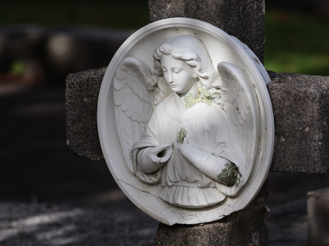 Te Henui Cemetery-新普利默斯必去景点