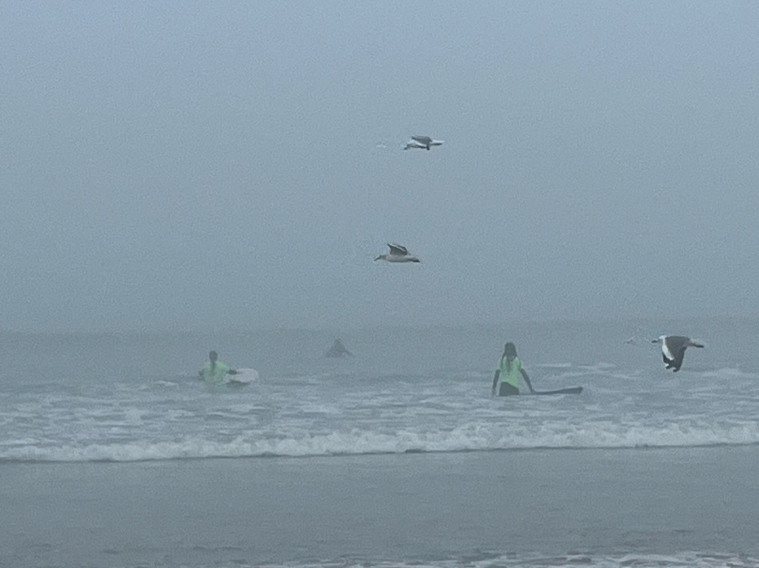 Surf Big Bay-Bloubergstrand必去景点