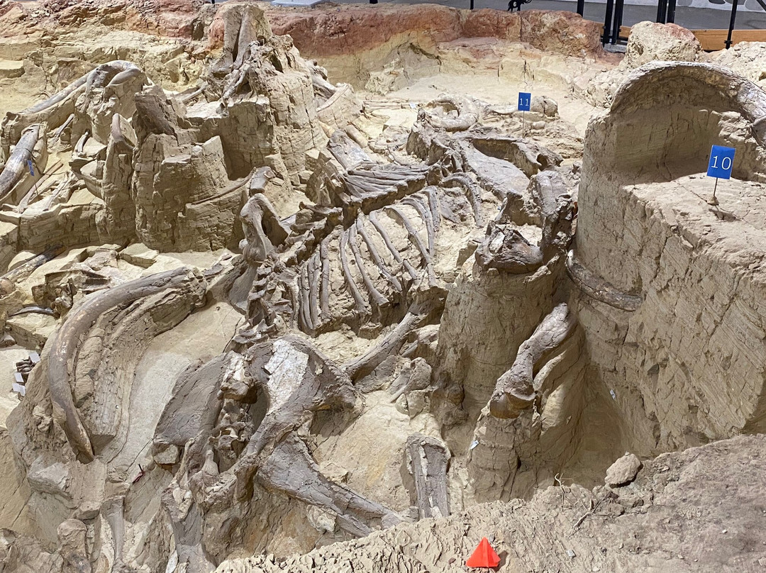 GeoFunTrek Tours-拉皮德城必去景点