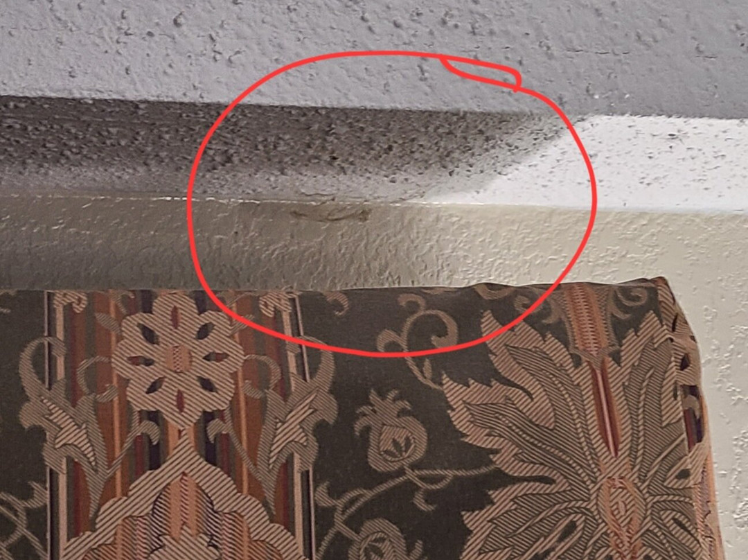 Quality Inn Black Mountain-asheville East主图