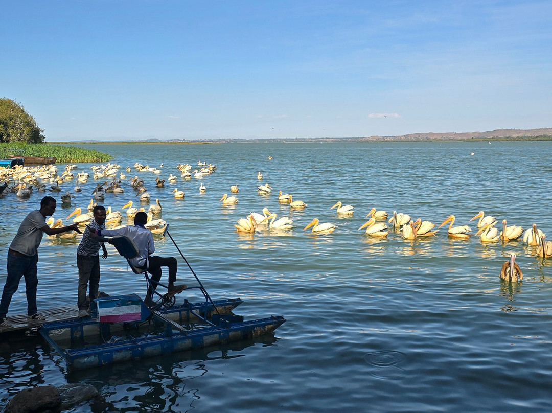 Ethio Trekking And  Expeditions-亚的斯亚贝巴必去景点
