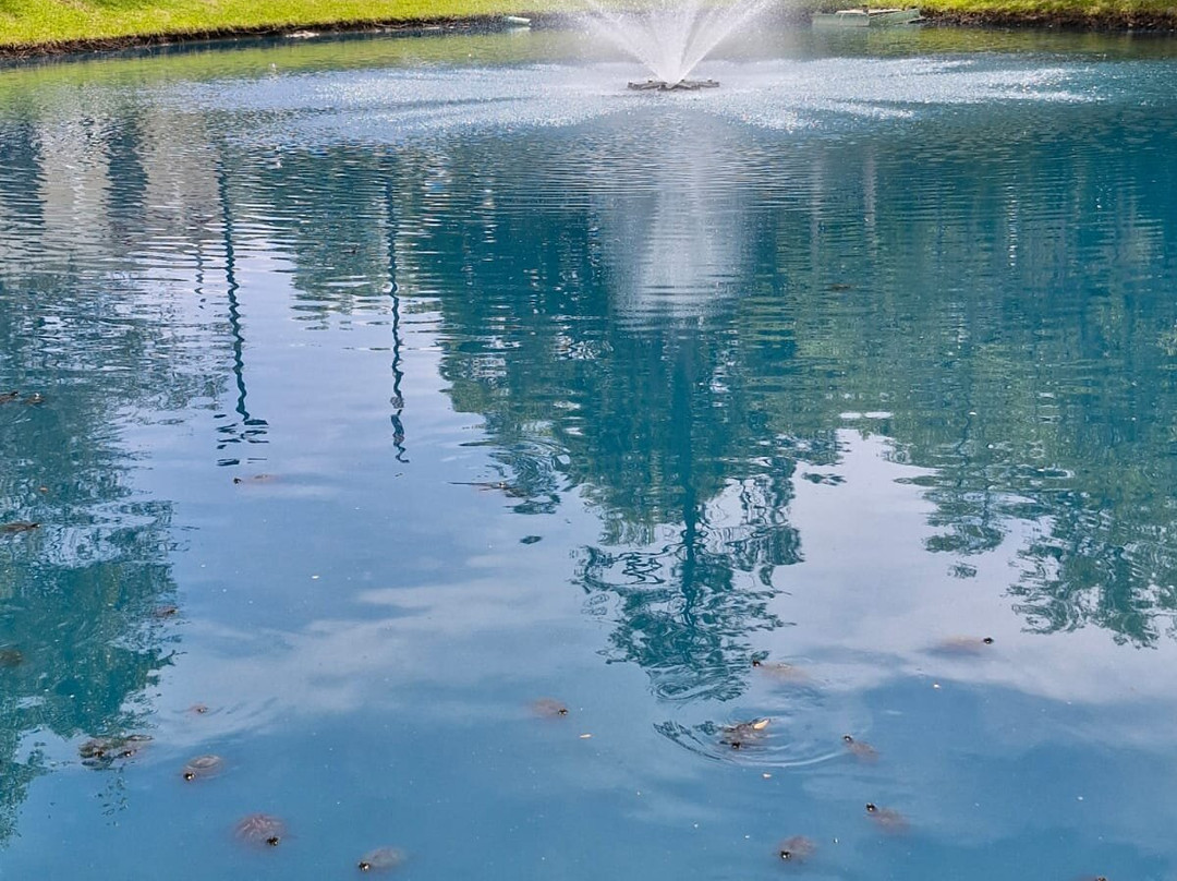 Hampton Inn Gainesville主图