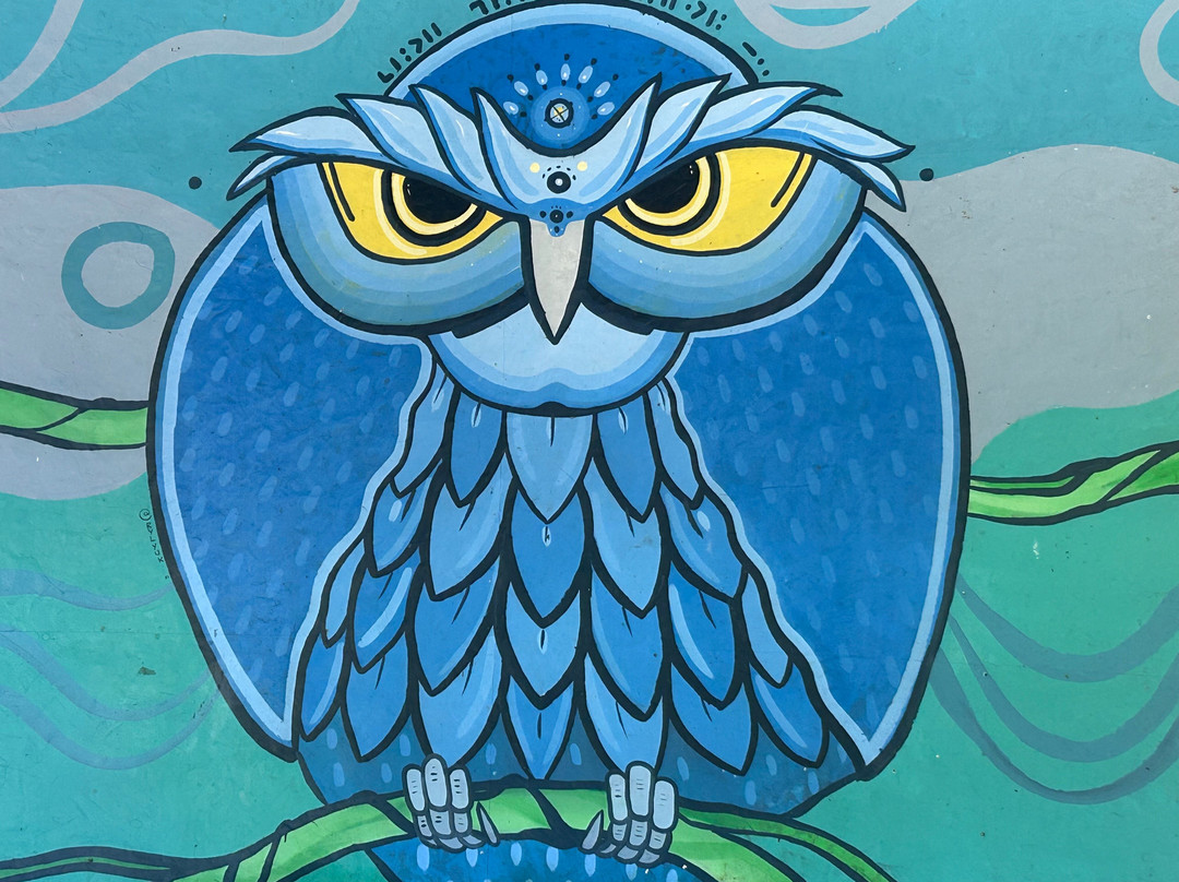 Kalkonu Travel-Ciudad Colon必去景点