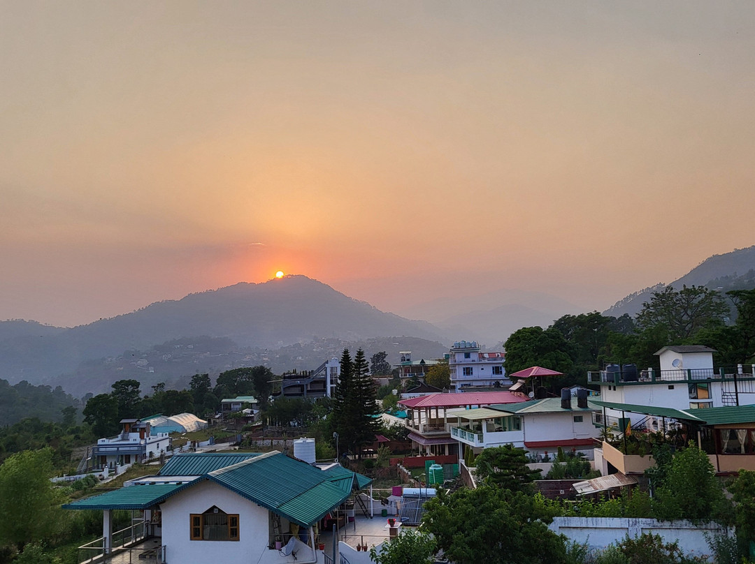 Hotel Spring Birds主图