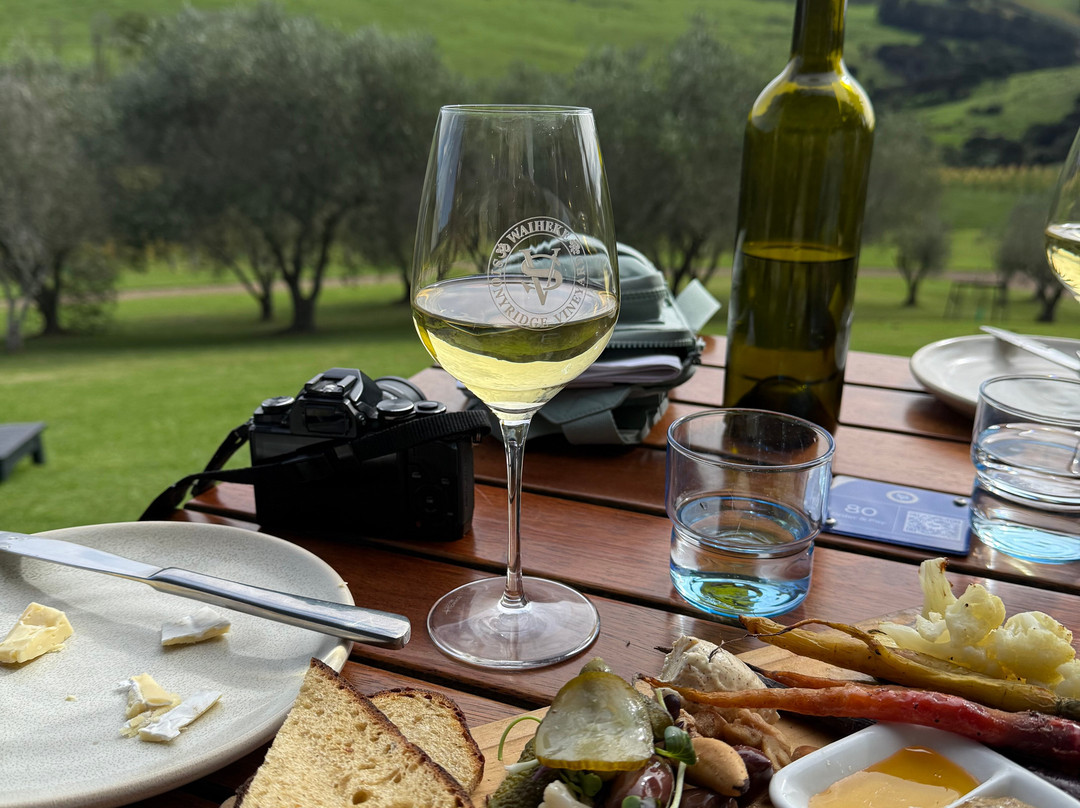 Waiheke Wine Tours Ltd景点图片