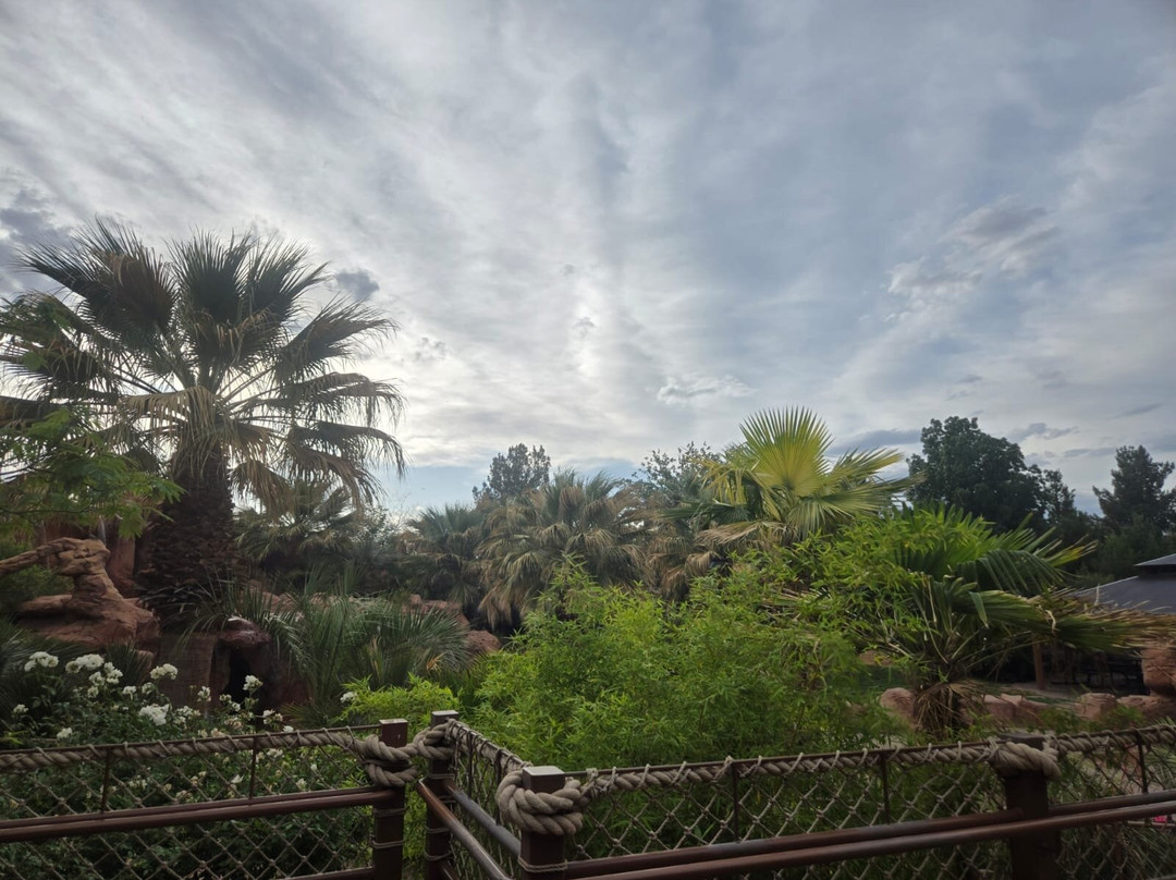 Thunder Junction All Abilities Park-圣乔治必去景点