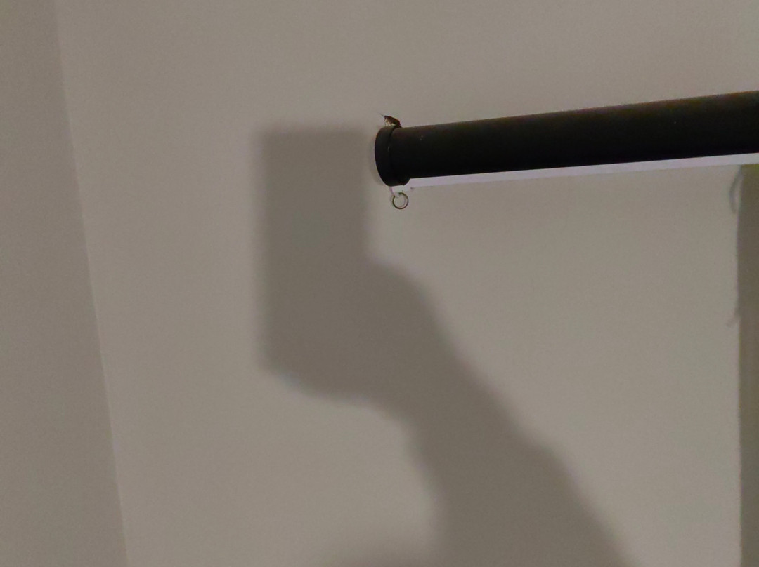 Loddey's Guest House主图