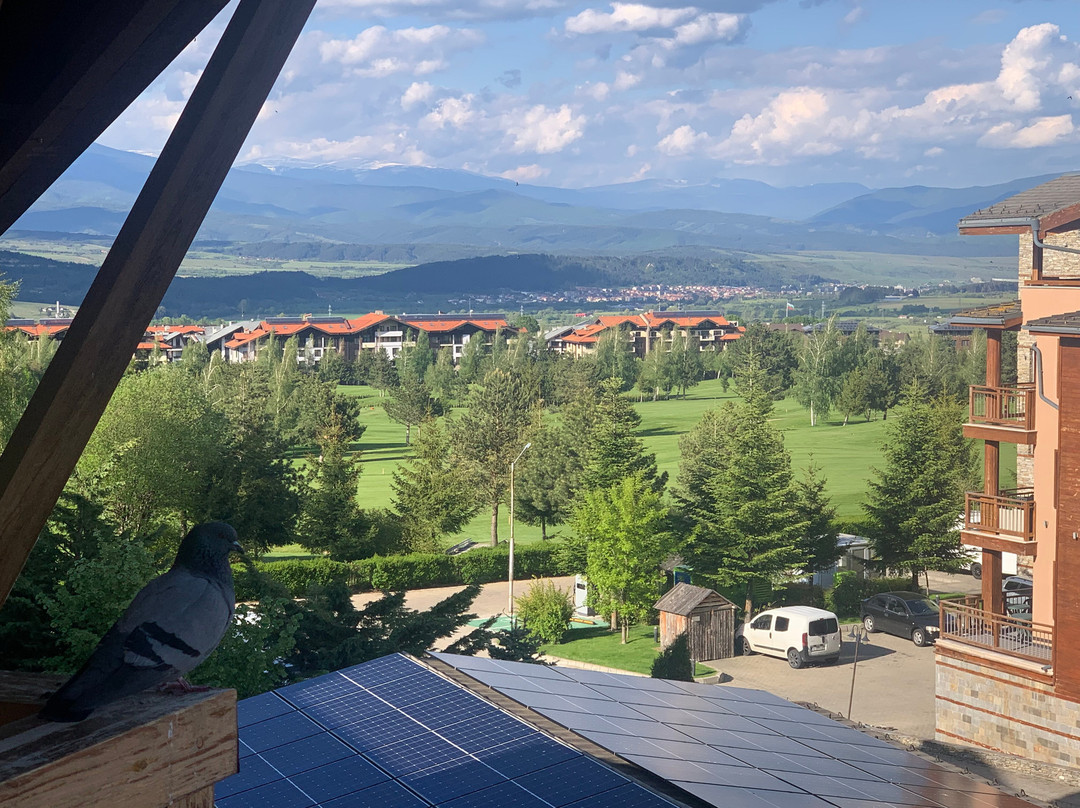 Pirin Golf Hotel & SPA主图
