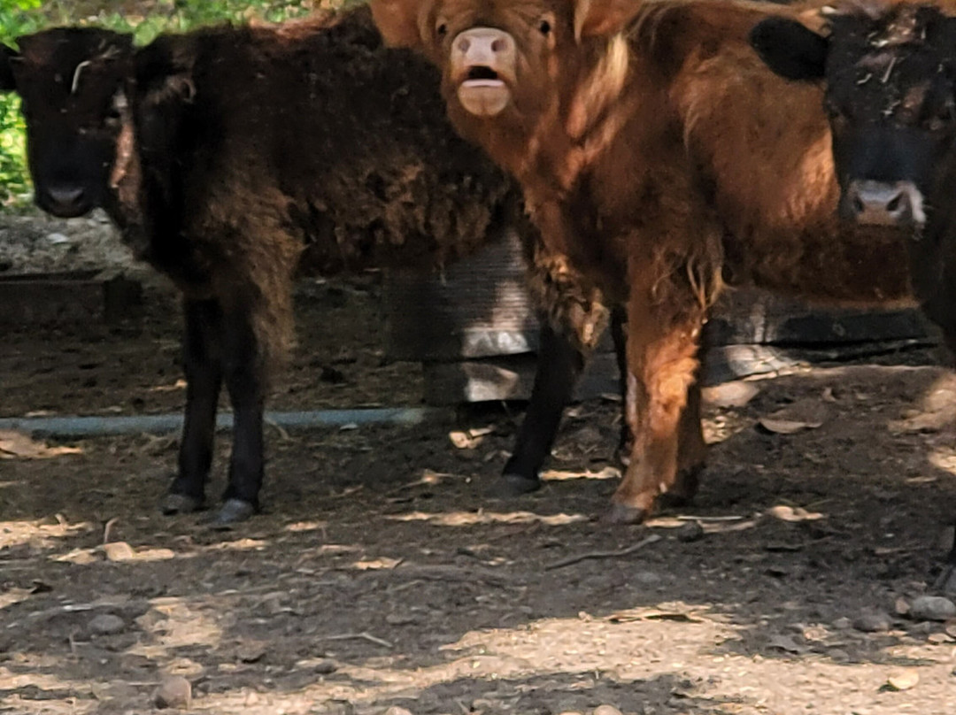 Priority Farm LLC-Sanford必去景点