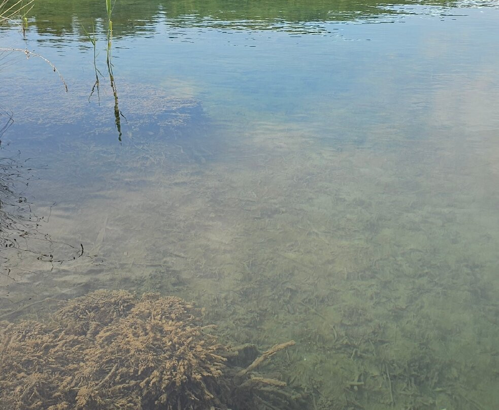 Lago dell'Accesa景点图片