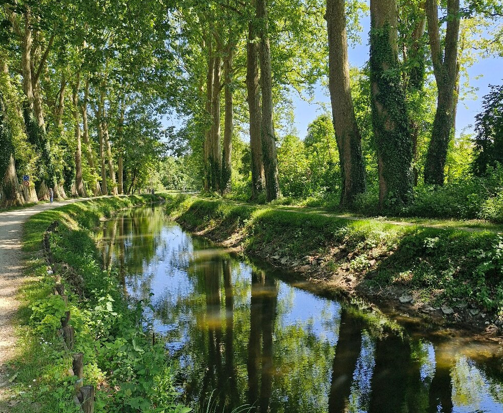 Château de Mehun-sur-Yèvre-Mehun-sur-Yevre必去景点