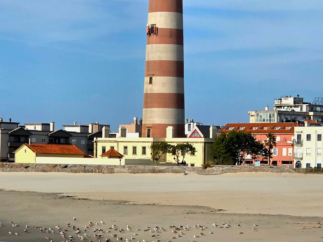 Farol da Barra景点图片