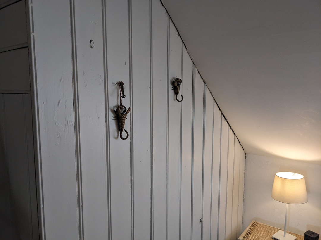 Liegen;schaft Guesthouse主图