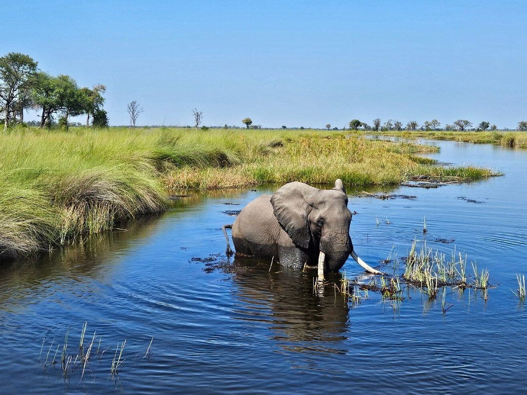 Gondwana Tours & Safaris景点图片