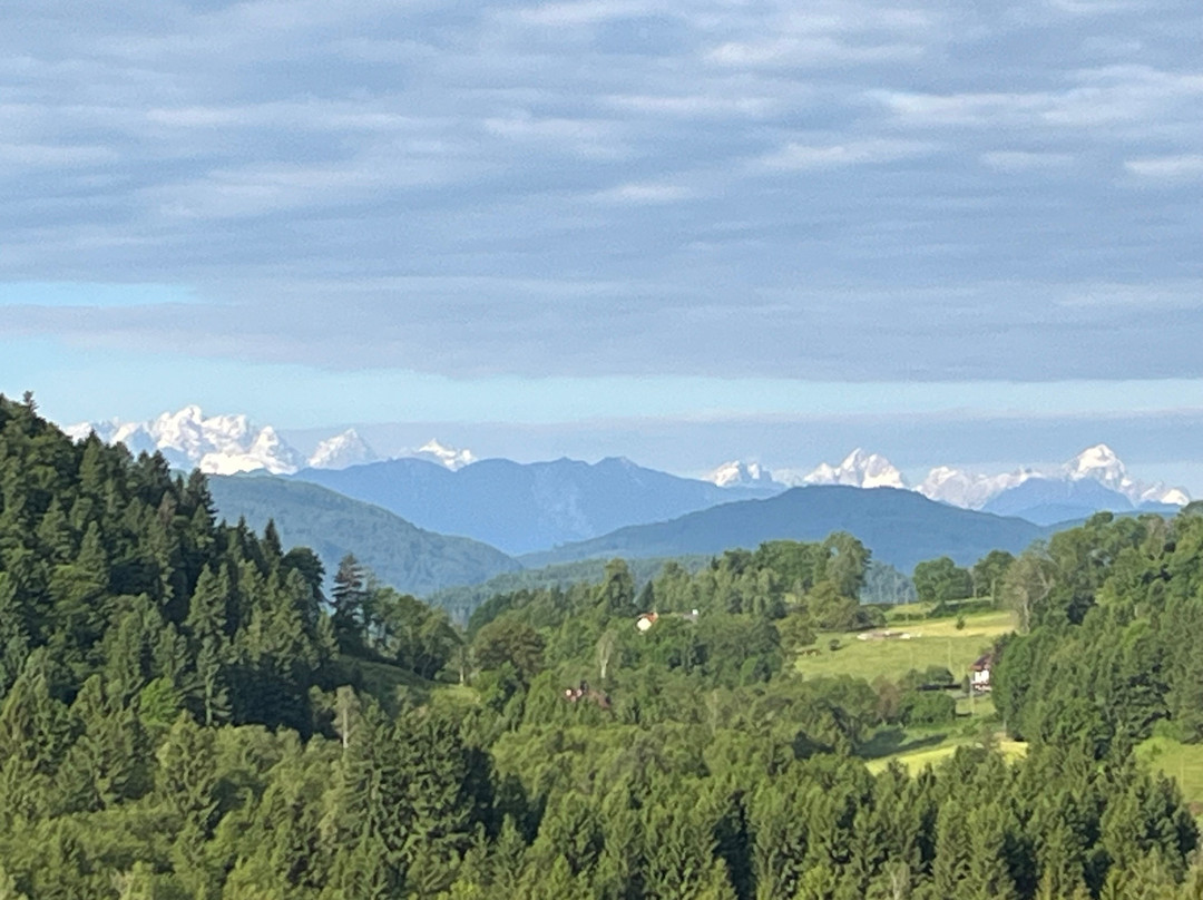 KOGLER`s Pfeffermuhle Hotel & Restaurant主图