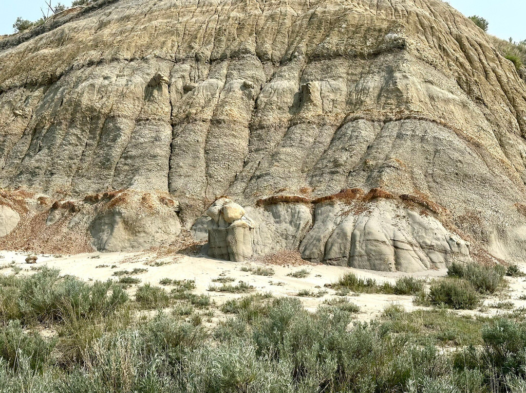 North Unit-Theodore Roosevelt National Park必去景点