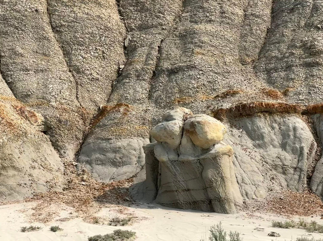 North Unit-Theodore Roosevelt National Park必去景点