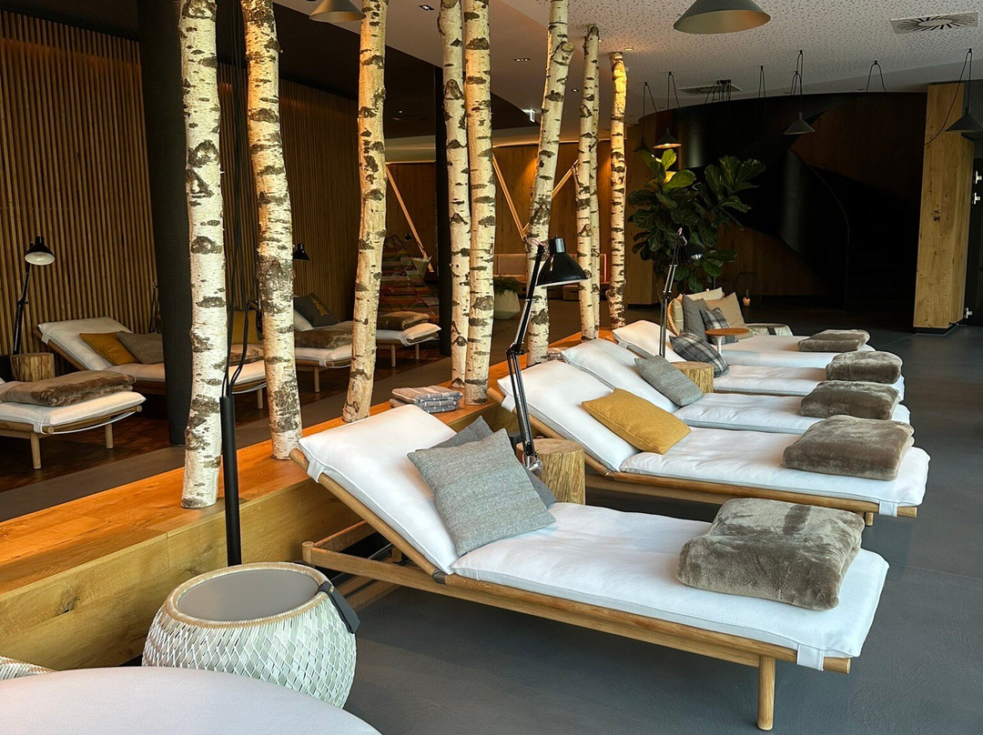 Luisenhöhe - Gesundheitsresort Schwarzwald主图