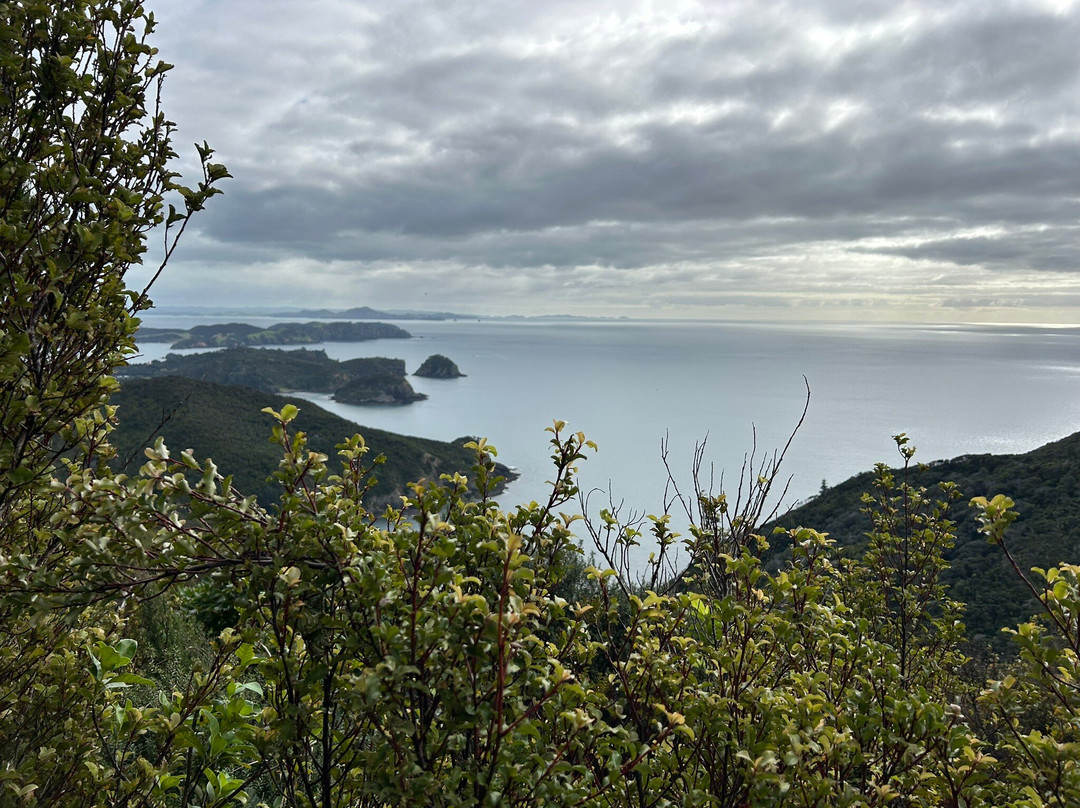 Cape Brett Walkway景点图片