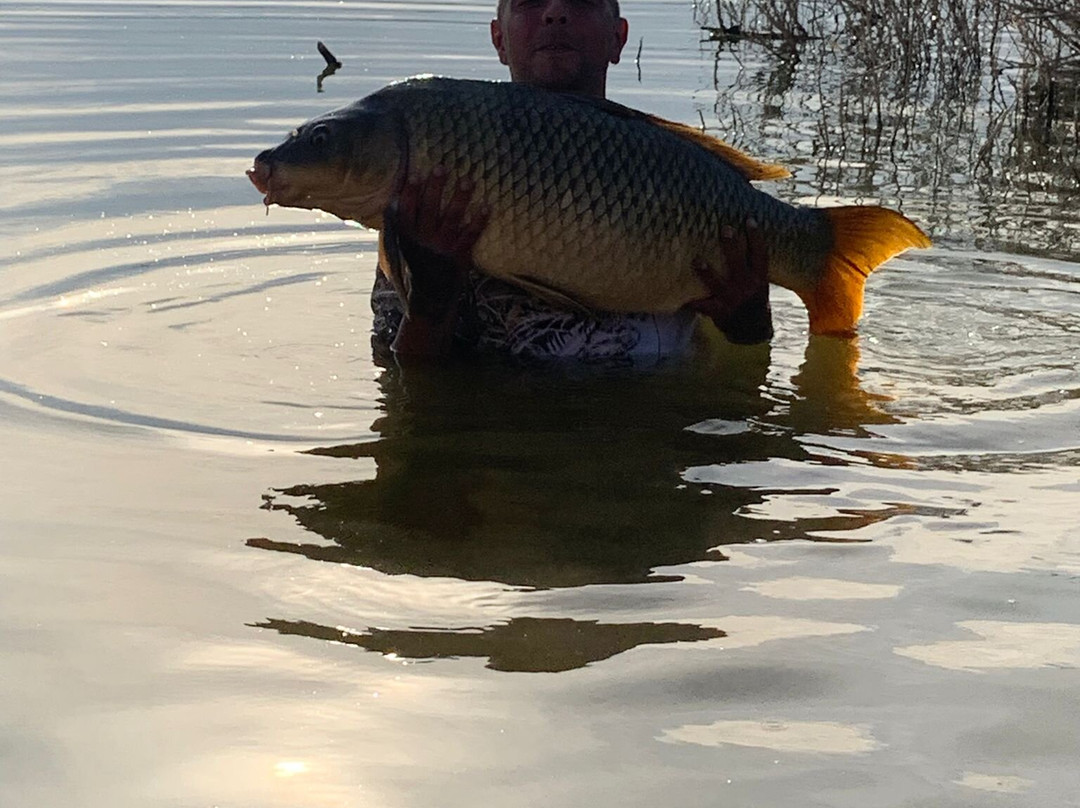 River Ebro Catfishing Holidays景点图片