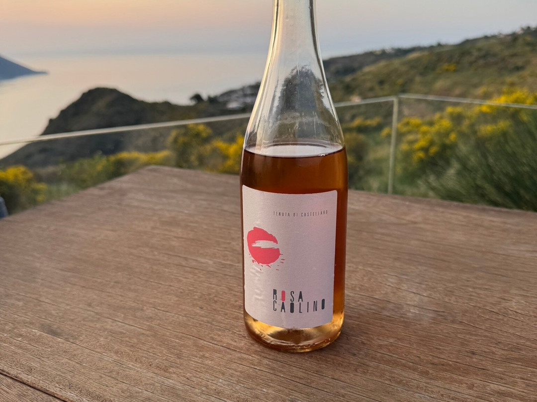 Tenuta Di Castellaro Winery-利帕里必去景点