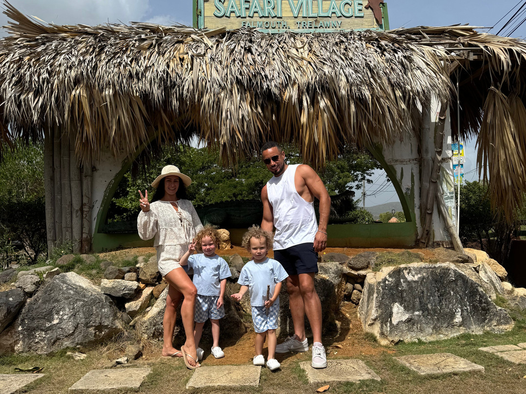 Jamaica Swamp Safari Village-法尔茅斯必去景点