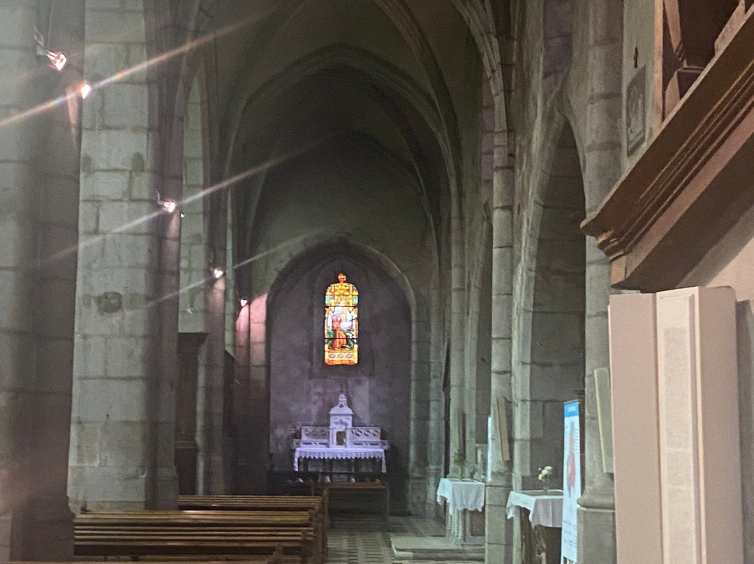 Cathedrale Saint-Pierre-安纳西必去景点
