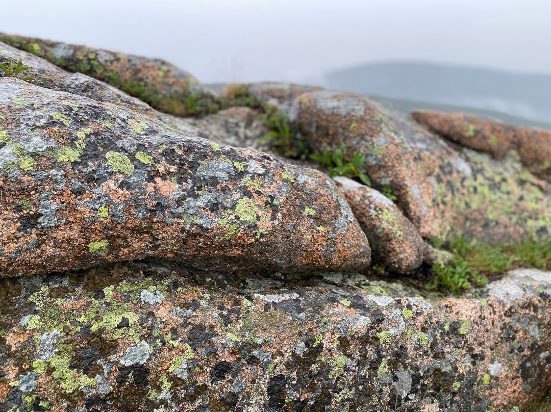 Acadia National Park景点图片