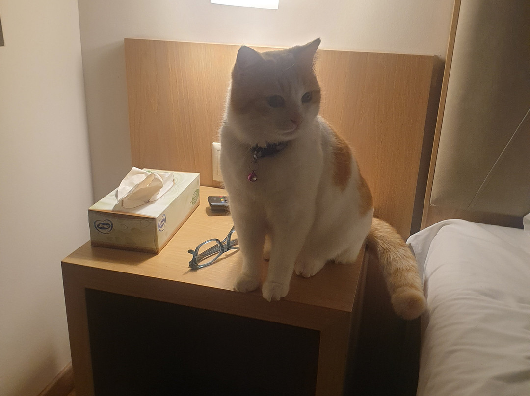 Kristonia Hotel Suites主图