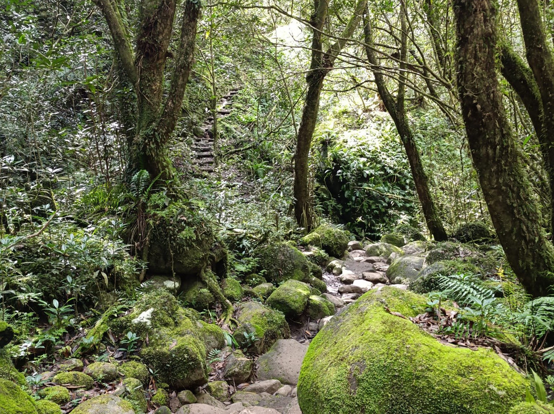 Cascade Blanche景点图片