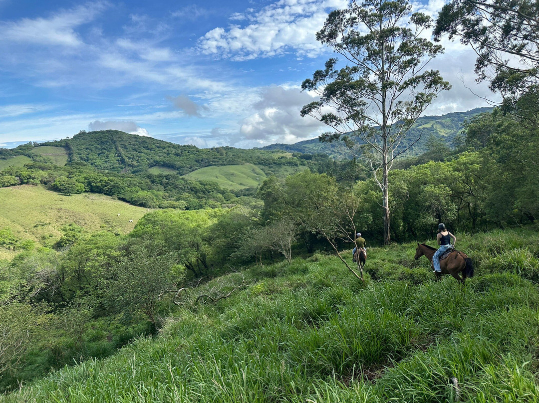 Equus Monteverde-Alto Cebadilla必去景点