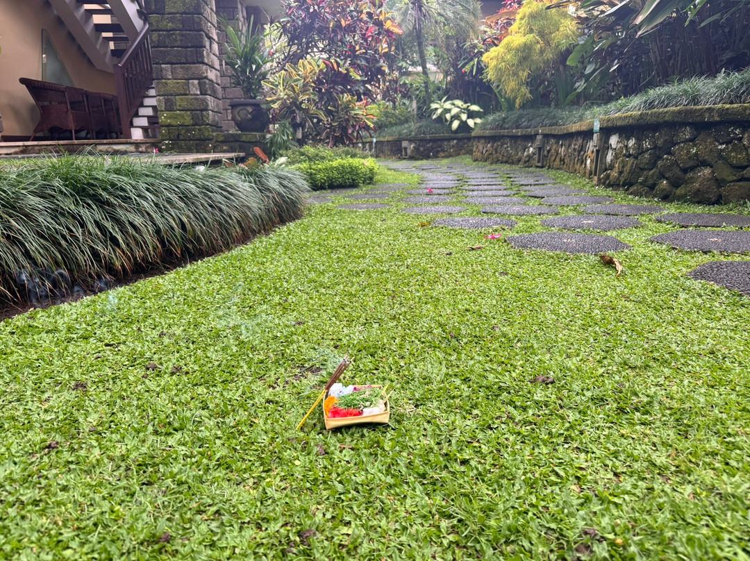 科里乌布度假村主图