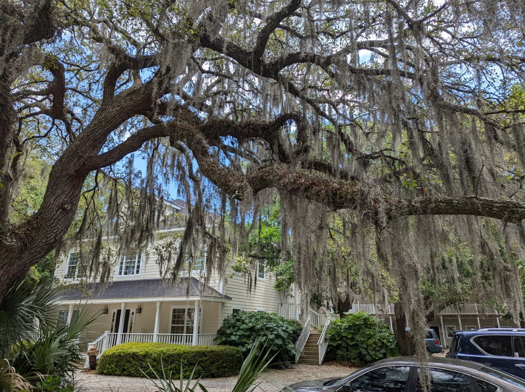 MarshWalk-默勒尔斯因莱特必去景点