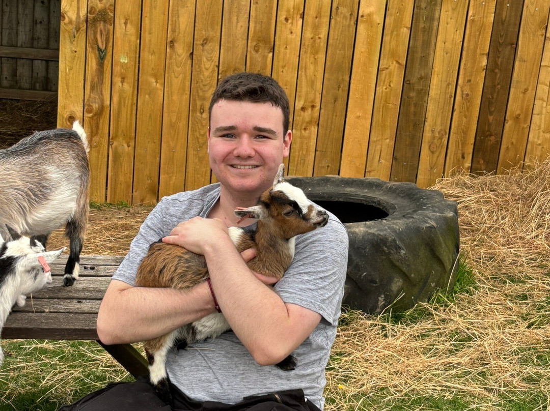 Popham Farm Alpaca Trekking-索尔塔什必去景点