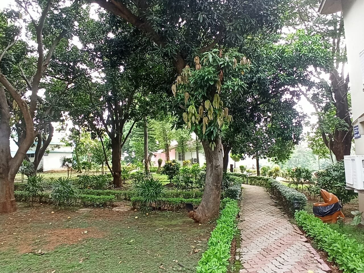 Peerless Resort Mukutmanipur-官方