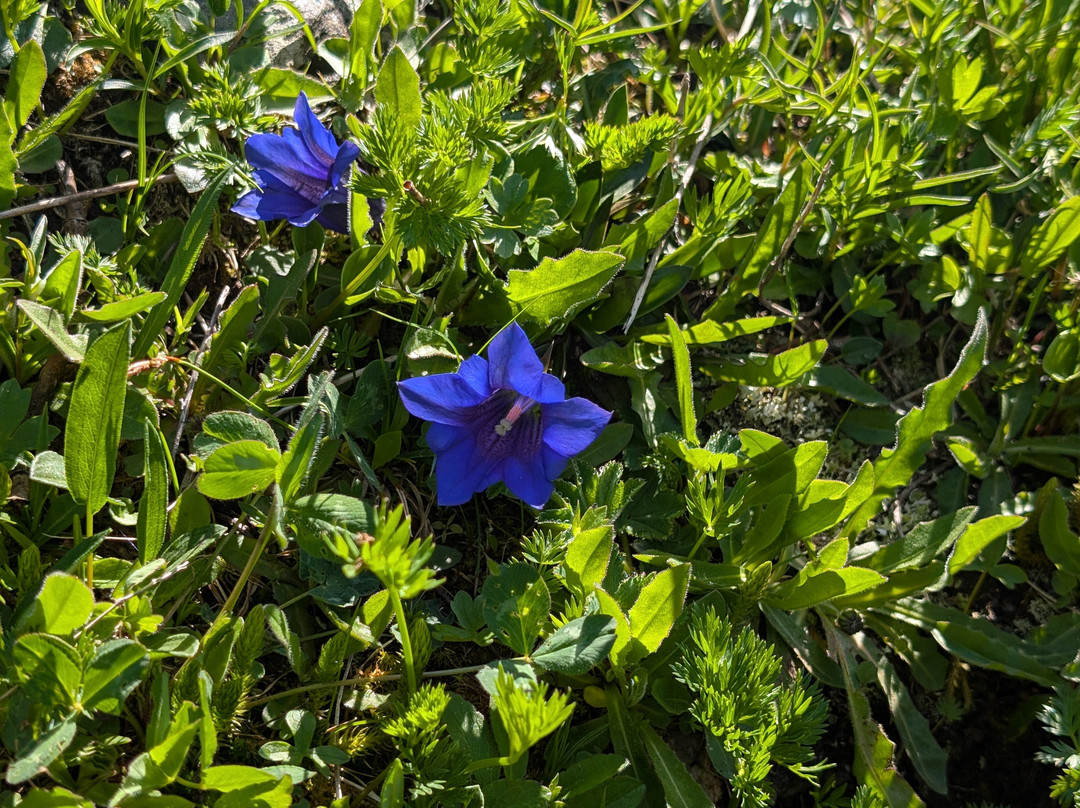 Landhaus Taurer主图