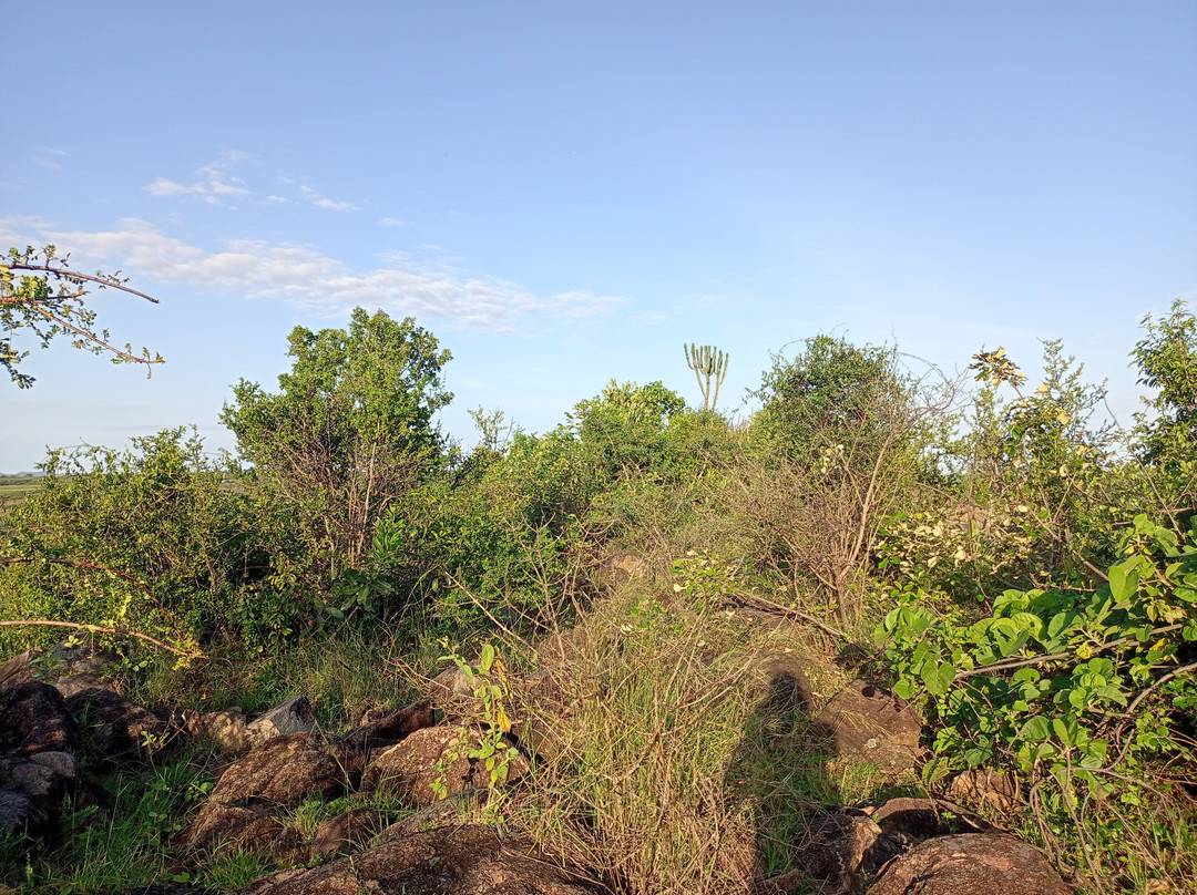 Ibencho By Oluokos-Migori必去景点