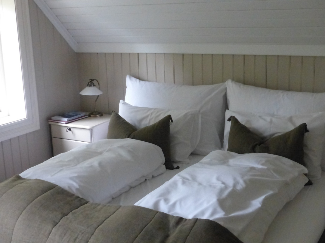 Petrines Guesthouse主图