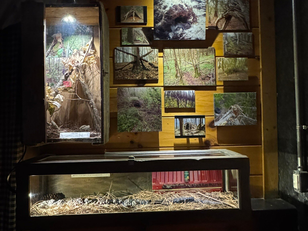 Expedition Bigfoot Adventure Outpost-蓝岭必去景点