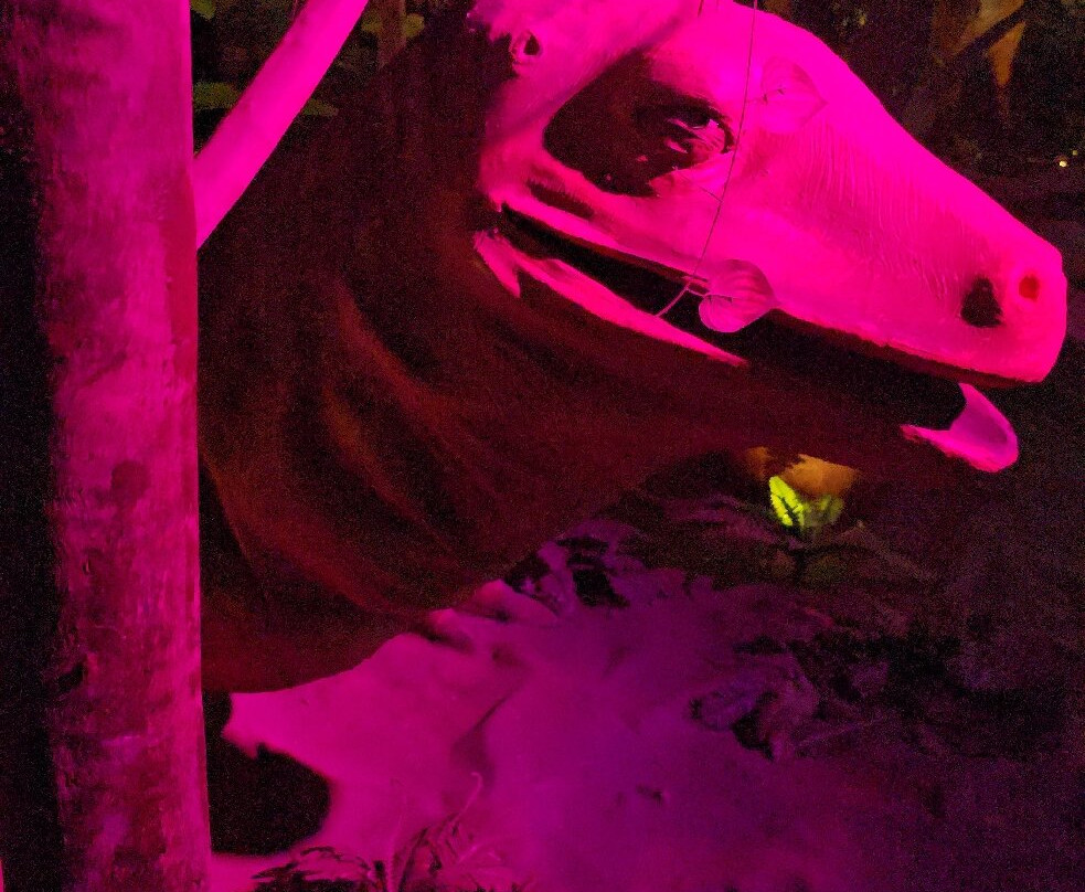 Science City-加尔各答（亦写作“Calcutta”）必去景点