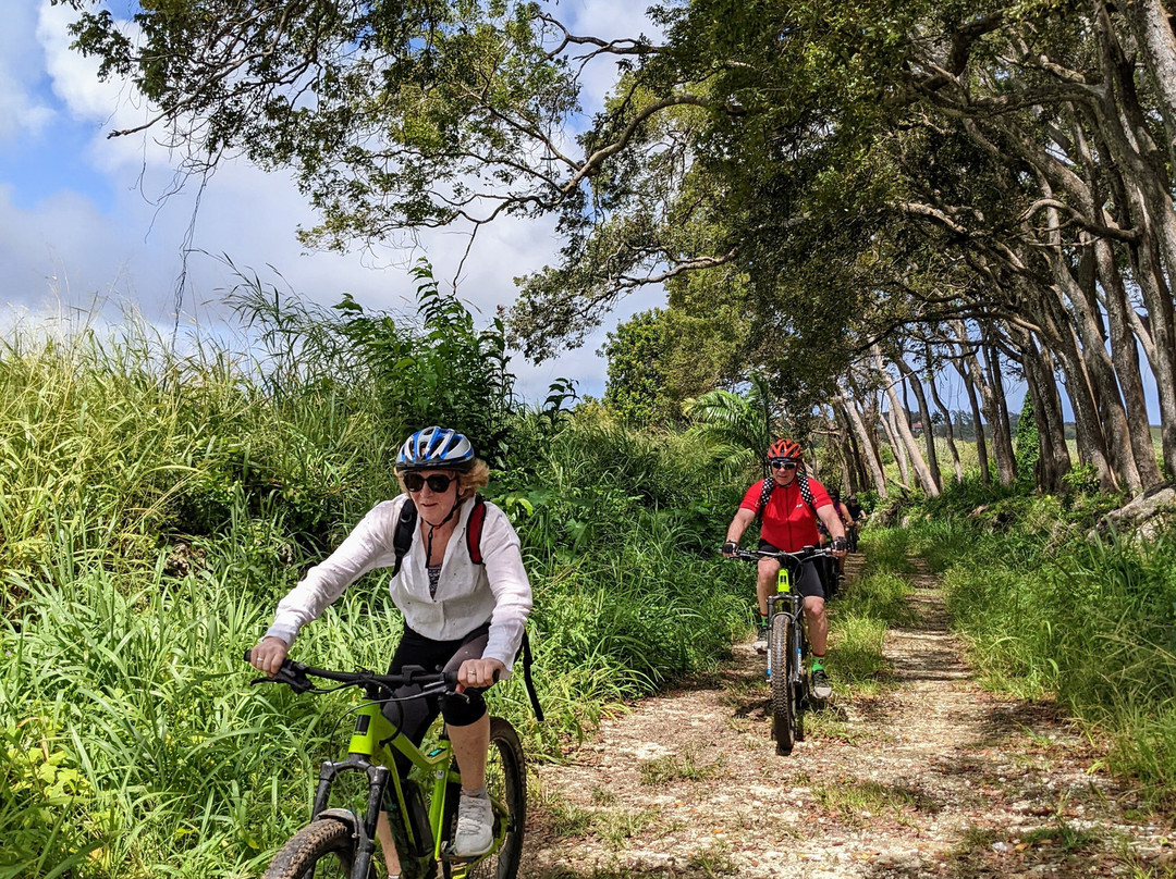 EBike Island Adventures-奥伊斯廷斯必去景点