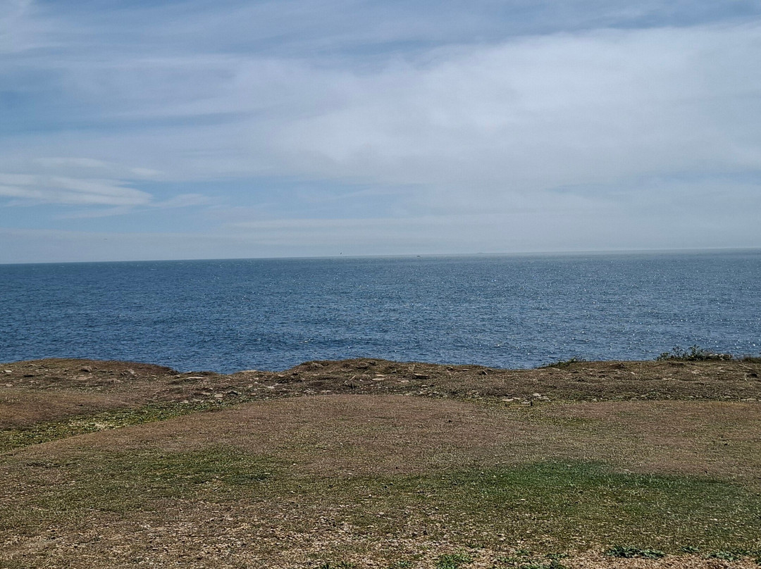 Portland Bill-Isle of Portland必去景点